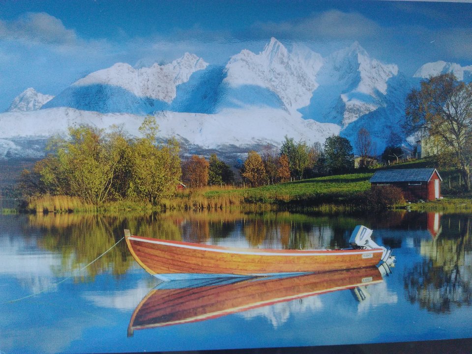 IMG_20190213_161345.jpg - best_frend