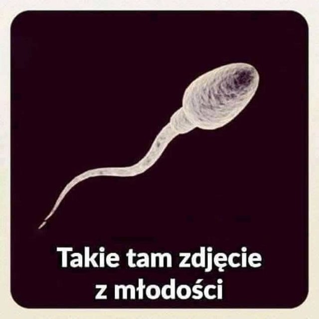 received_321365638520346.jpeg - best_frend