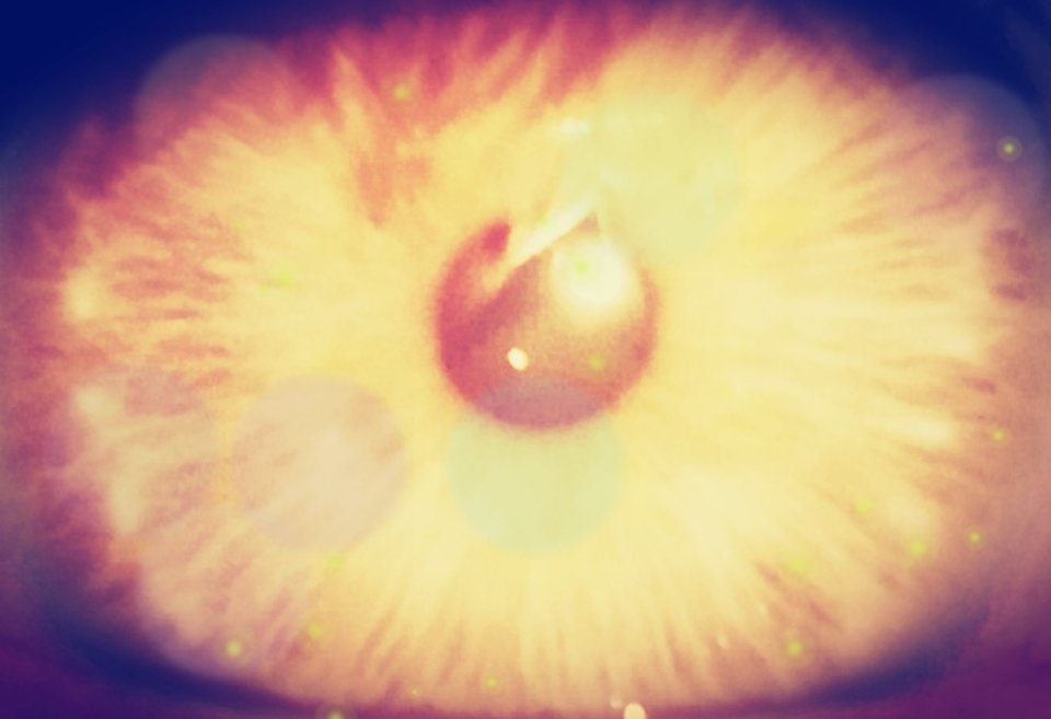 Okozmian.jpg - Akooman