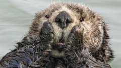 Pierwszy kontakt z obcymi ;)