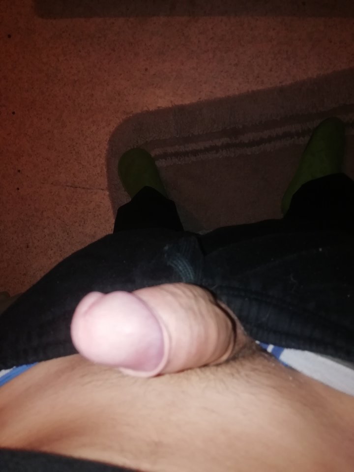 IMG_20200229_074128.jpg - Stivew