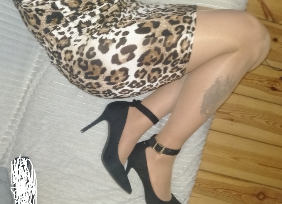 IMG20200226202043.jpg - Kinga33Trans