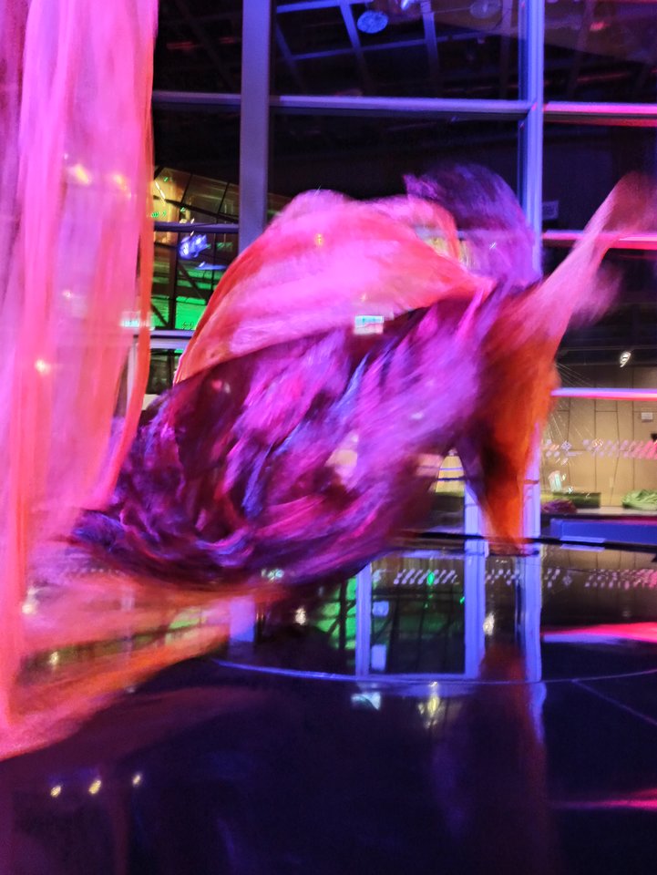 IMG_20200227_205707.jpg - Arrou