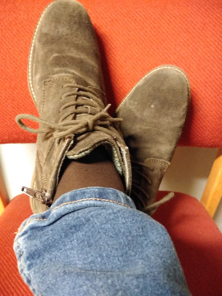 15830579333837846317569394507881.jpg - Palciusia