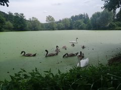 IMG_20190727_140909.jpg