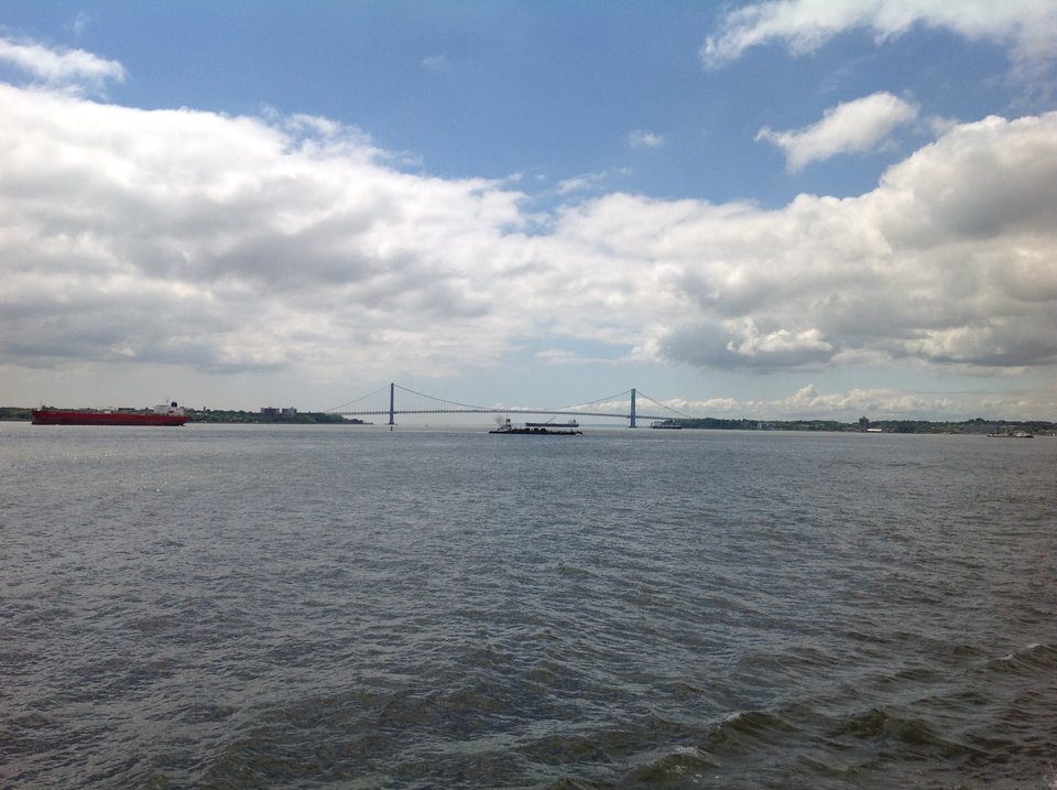 IMG_0133.JPG - OnViper