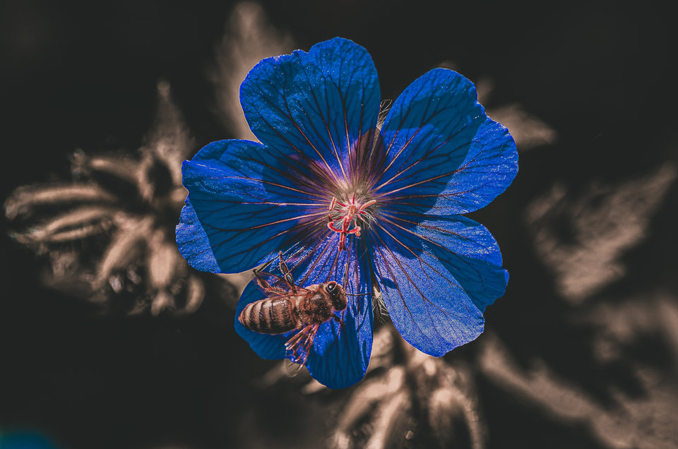 Byle do lata - mystic