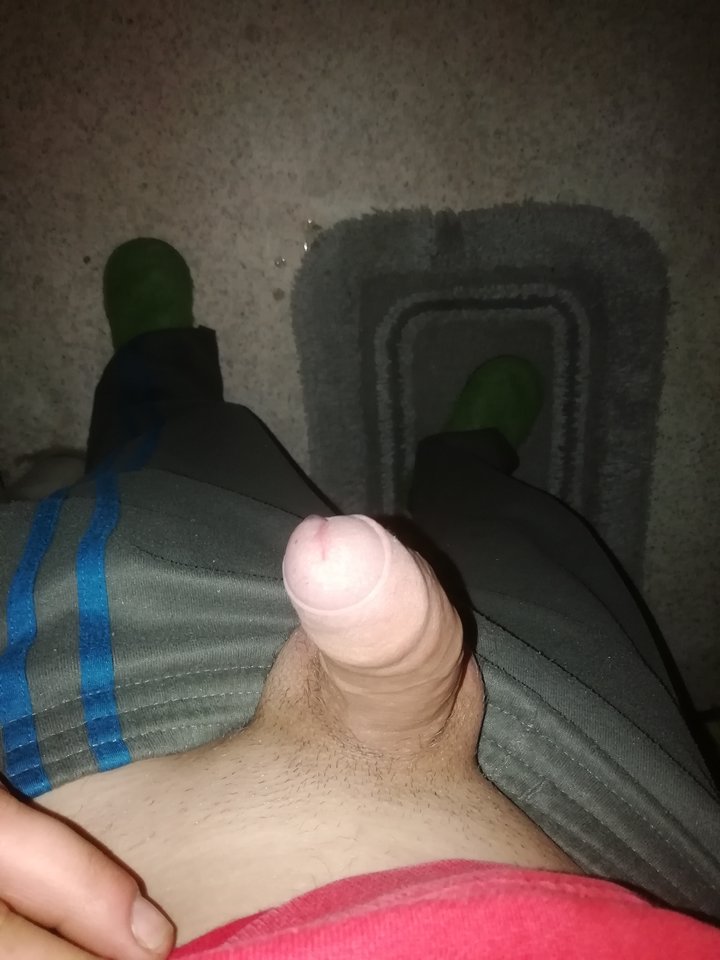 IMG_20200306_124740.jpg - Stivew