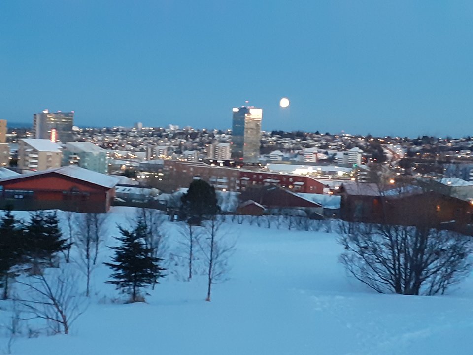 20200306_074817.jpg - bobys79