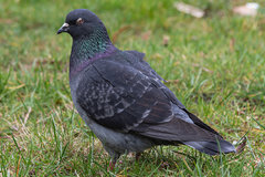 Z przymrużeniem oka