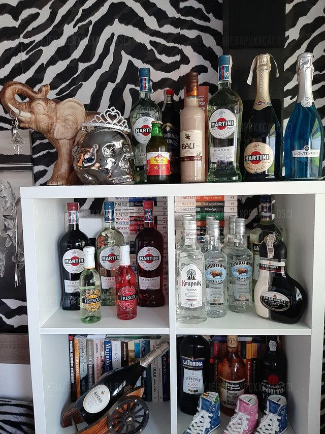 wyjebanexxpoxxcalosci