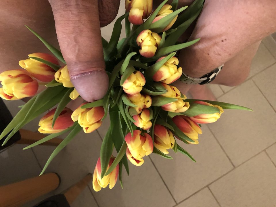 IMG_8022.JPEG - nrw670n