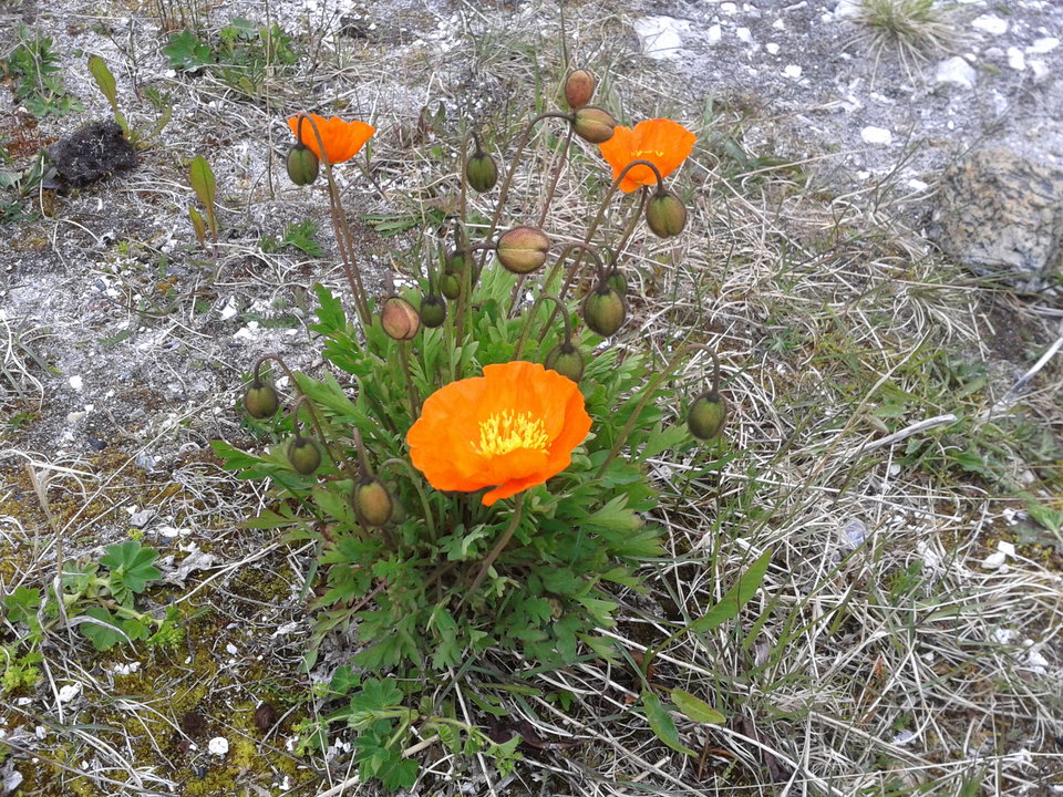 Zdjęcie-0072.jpg - Nightmistress76