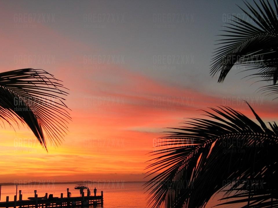 T&C-2.jpg - Greg72xxx