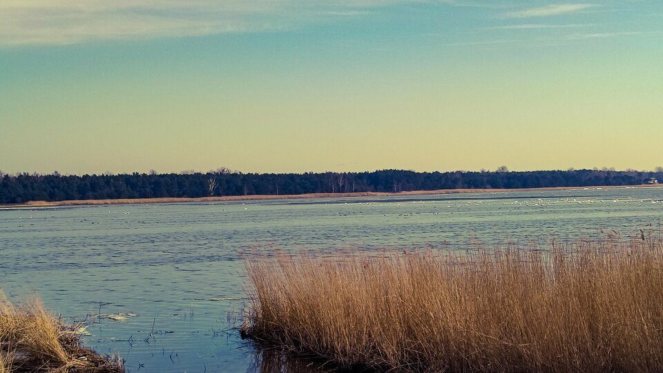 PSX_20260314_133420.jpg - ELEGANTWWA2024