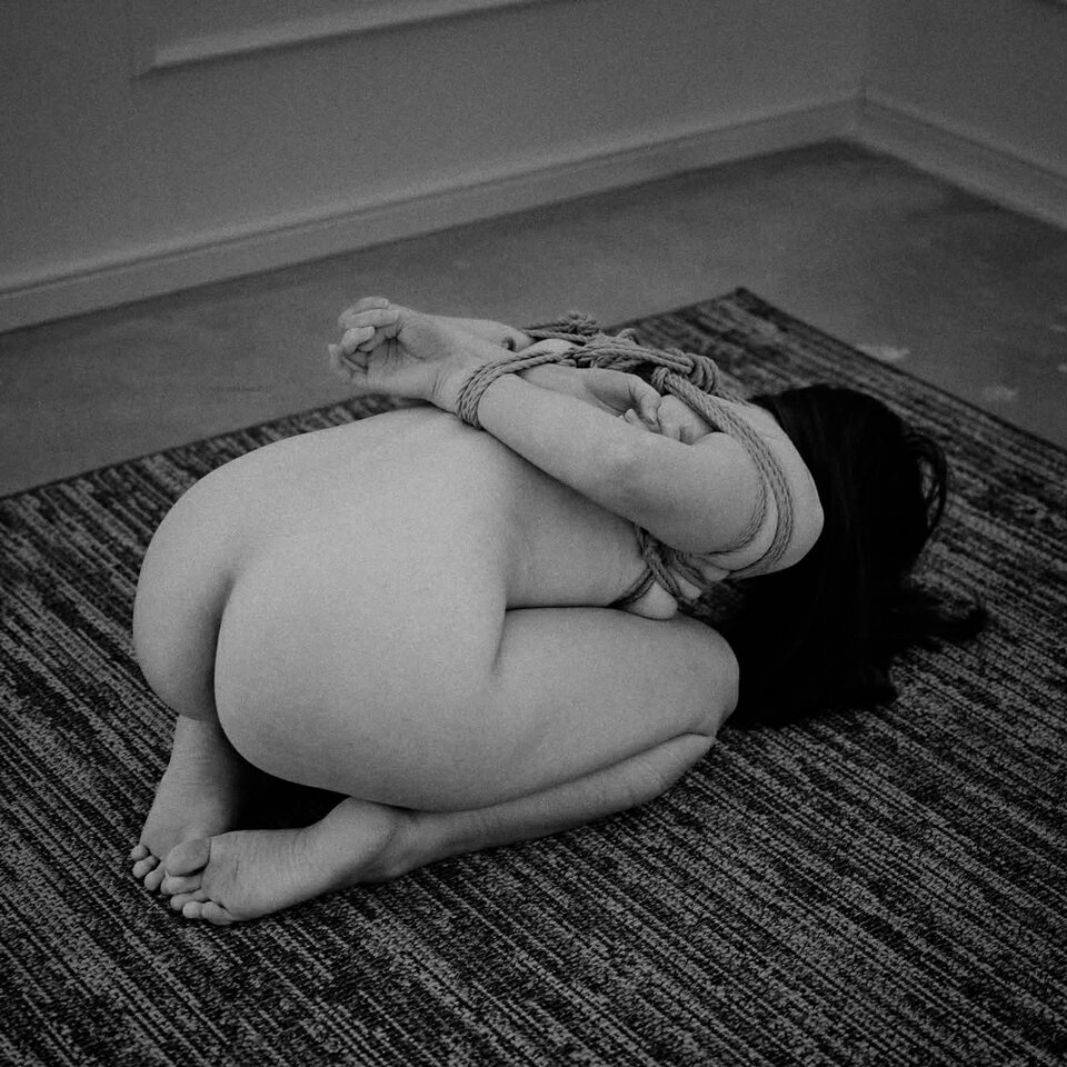 shibari - Tacocat