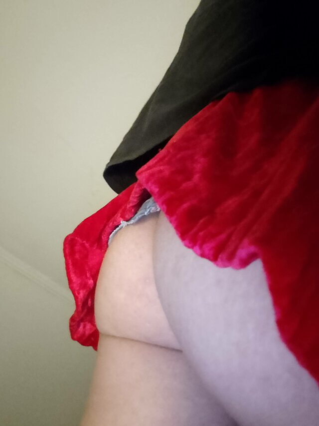 Dominusek13122x