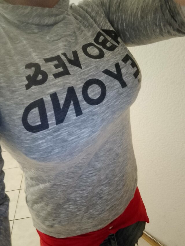 Dominusek13122x