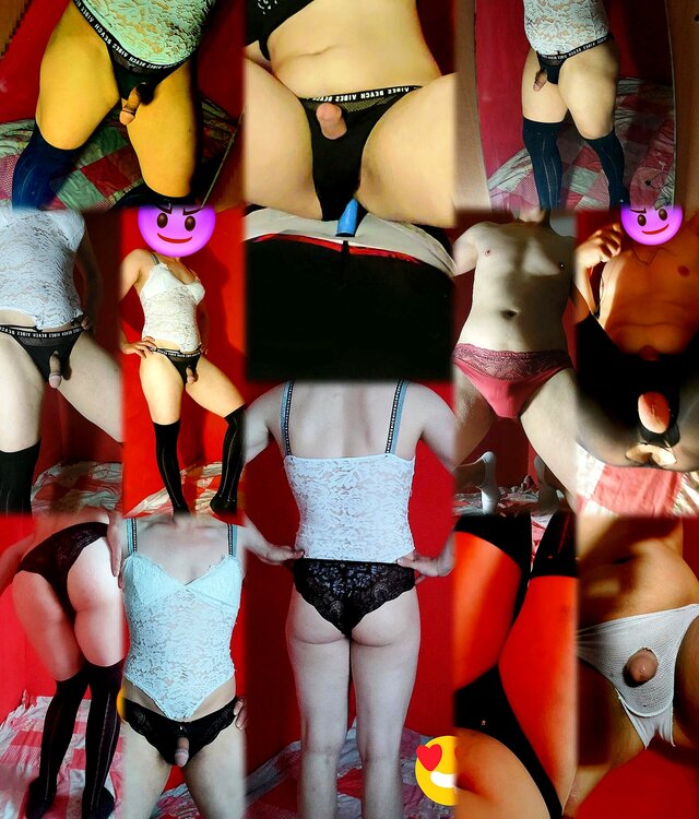 Dominusek13122x