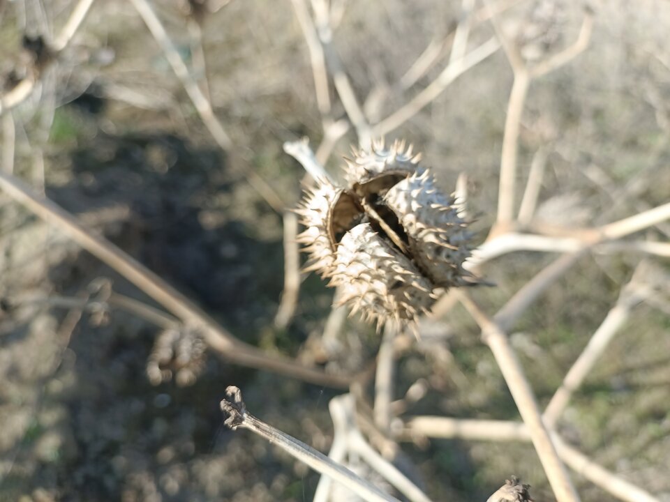 IMG_20260321_141356.jpg - arturx69