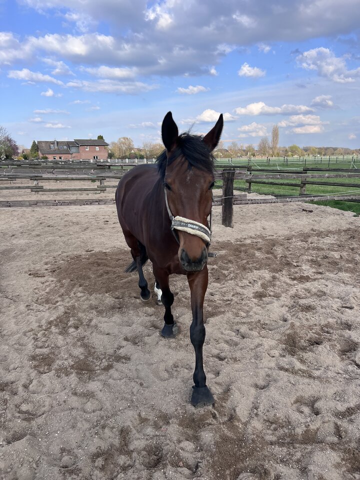 IMG_5045.jpeg - nrw670n