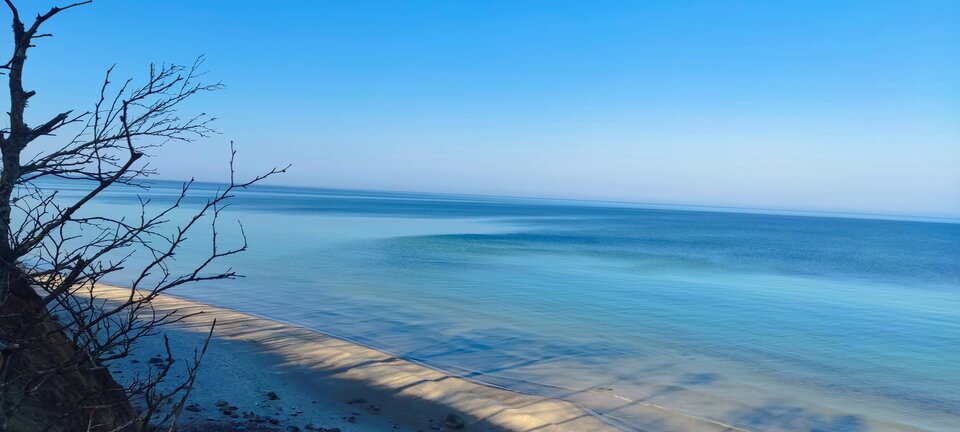 IMG_20260322_093258.jpg - edytkaandrzej