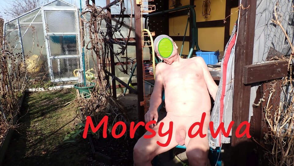 W słoneczku. - Morsy_dwa