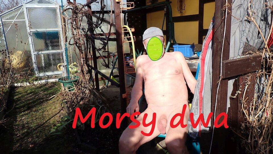 W słoneczku. - Morsy_dwa