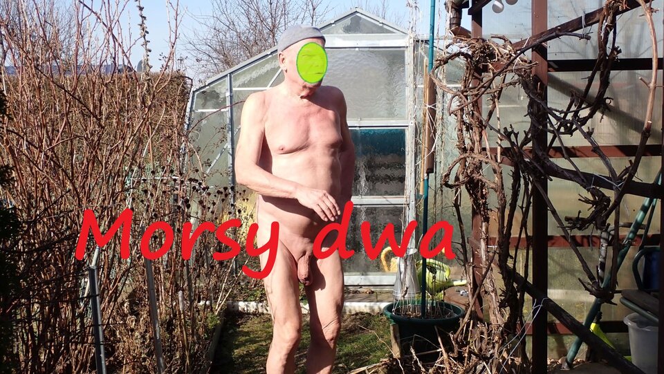 W słoneczku. - Morsy_dwa