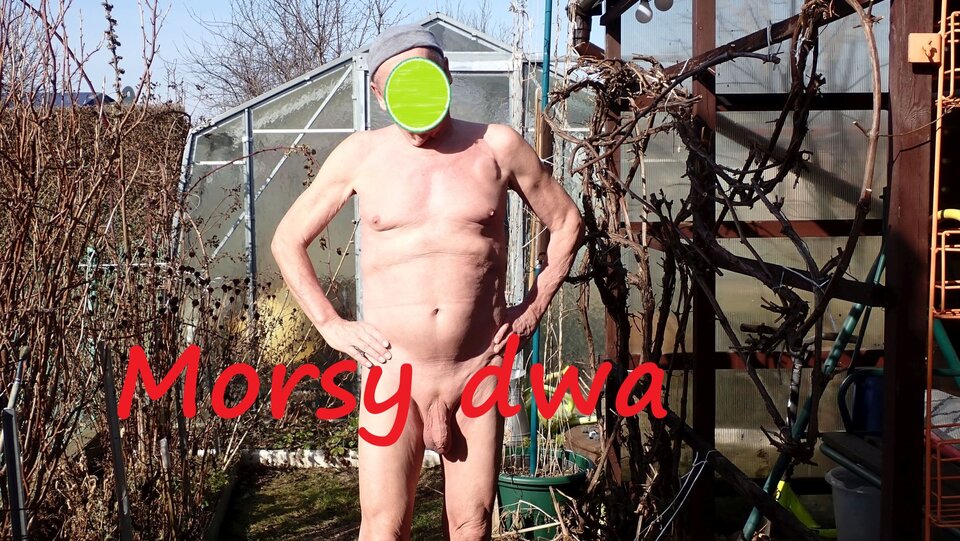 W słoneczku. - Morsy_dwa