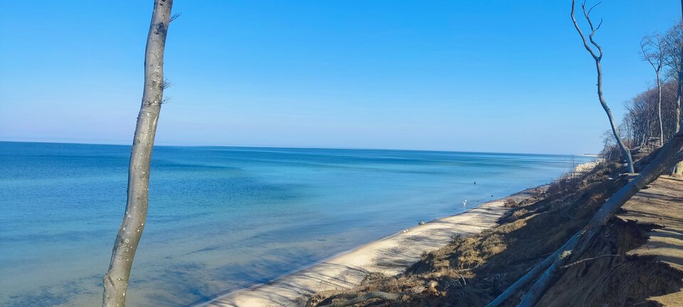 IMG_20260325_105012.jpg - edytkaandrzej