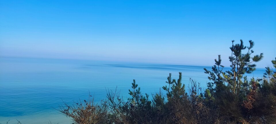 IMG_20260322_101015.jpg - edytkaandrzej