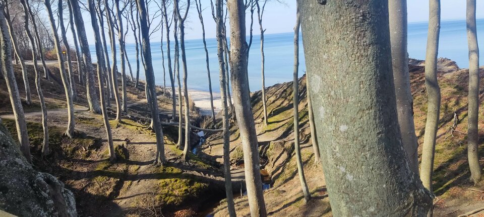 IMG_20260322_105944.jpg - edytkaandrzej