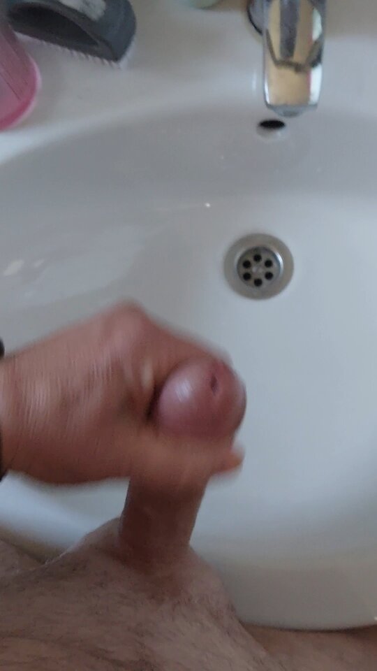 1000010678.jpg - Forsst