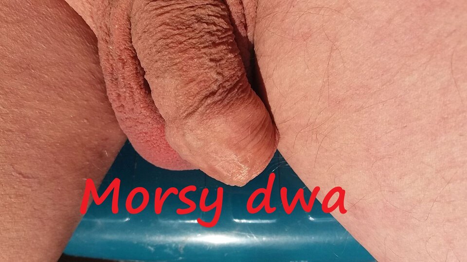 W słoneczku. Wariacje na słońce i ... - Morsy_dwa