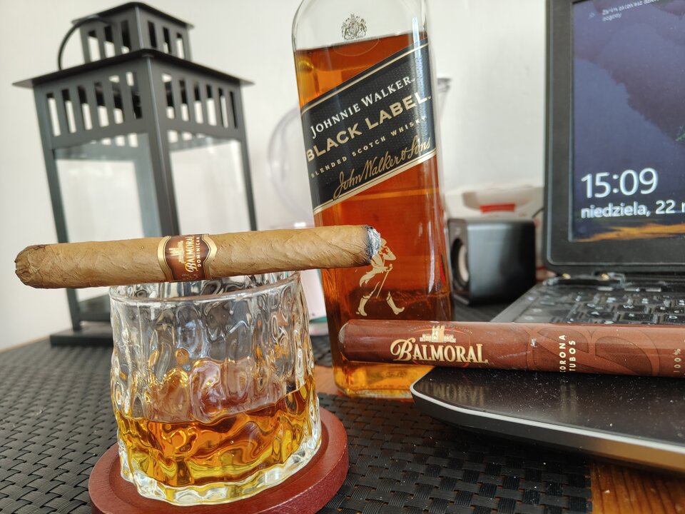 1000015569.jpg - Niedzwiedz76