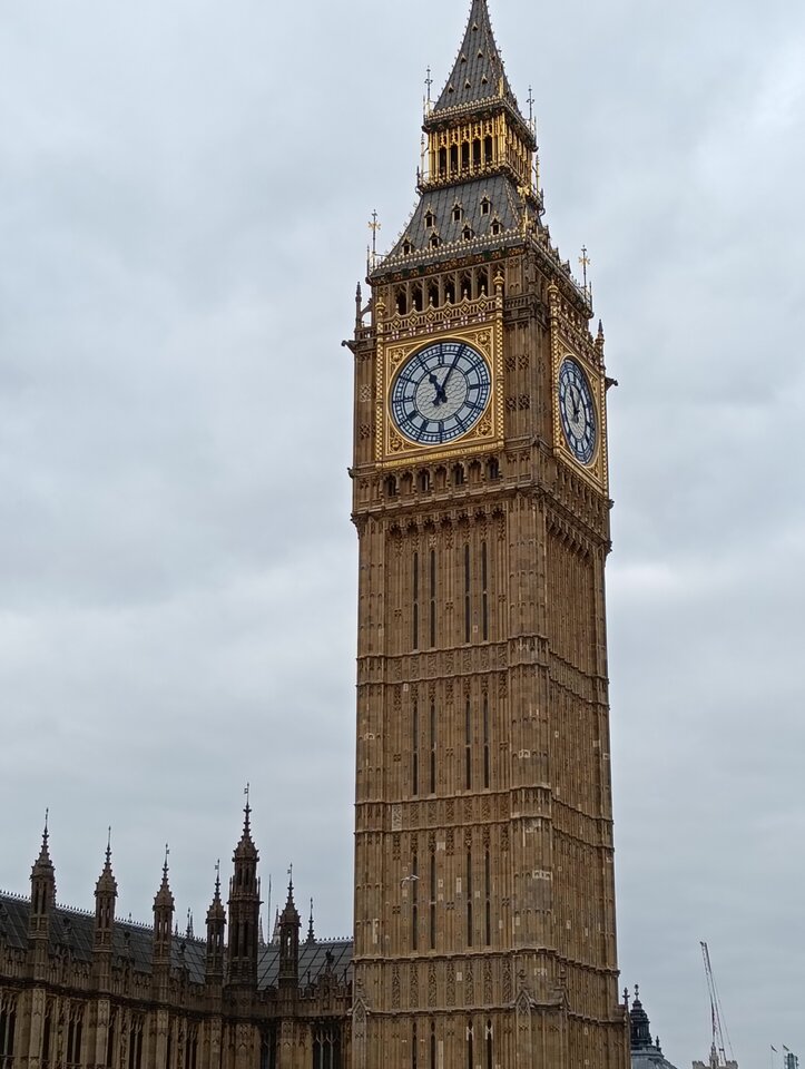 1000003754.jpg - Adamsingel