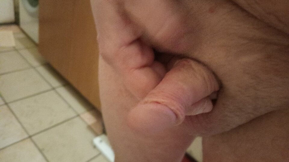 1000027345.jpg - Tommytee42