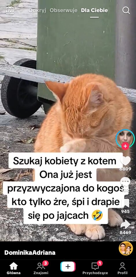 1000062038.jpg - Kamasutra1973