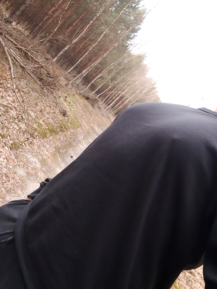 1000000198.jpg - ZorroTrovun