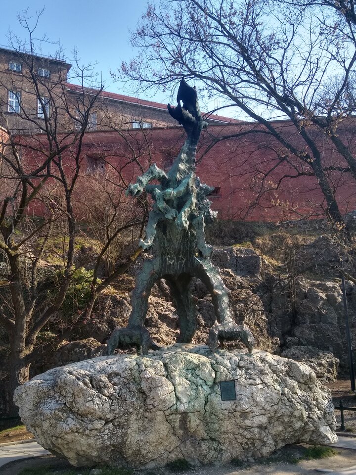 IMG_20260318_092618744_HDR.jpg - macius454545