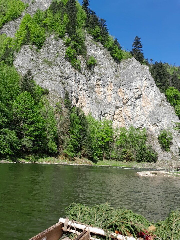 1000000763.jpg - Peesie