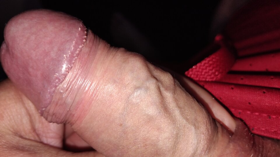 1000010211.jpg - Wawrzyk80