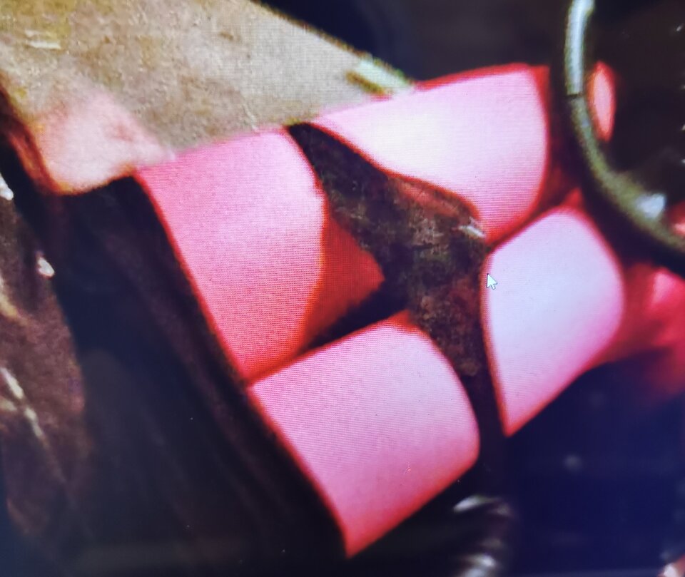 IMG_20260310_060257.jpg - Madziuuulka