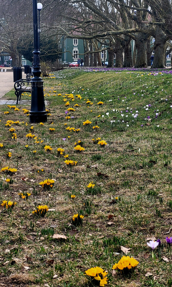 20260324_125322.jpg - Pozytywna_Iskra