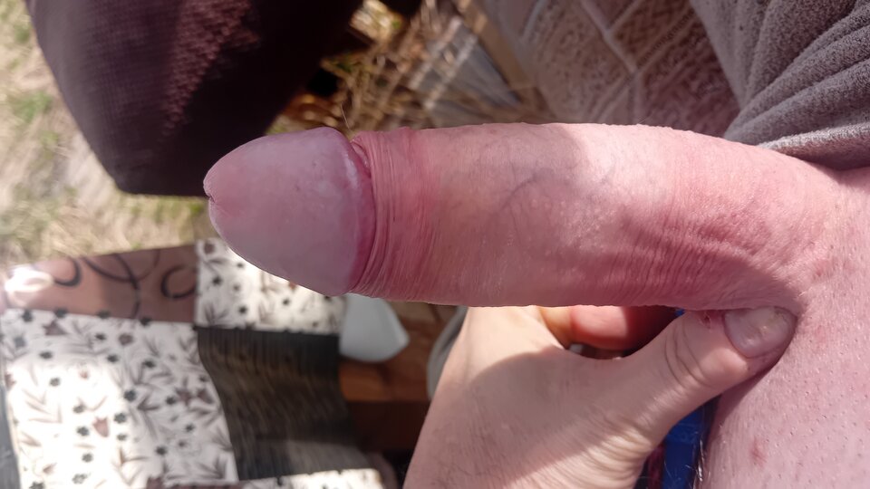 1000112514.jpg - Misiek7828