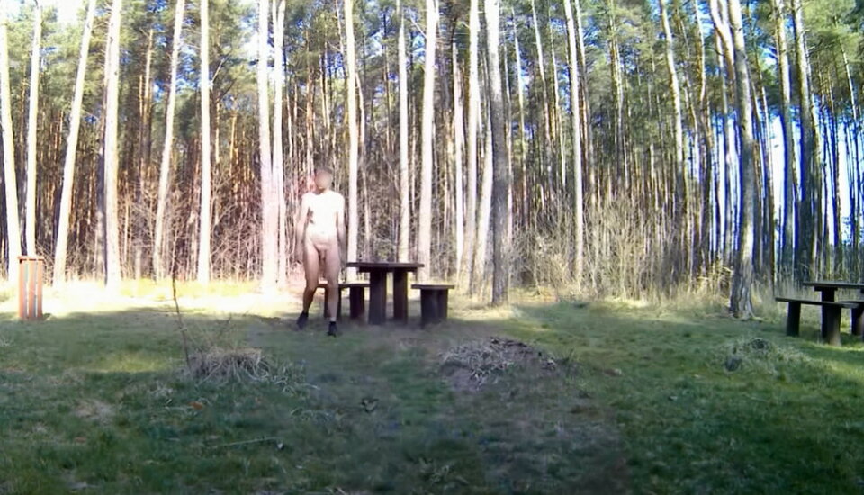 SIEWIERZ - parking leśny 20260322_0851.mp4_snapshot_00.44_[2026 - Krzysztof_cfnm