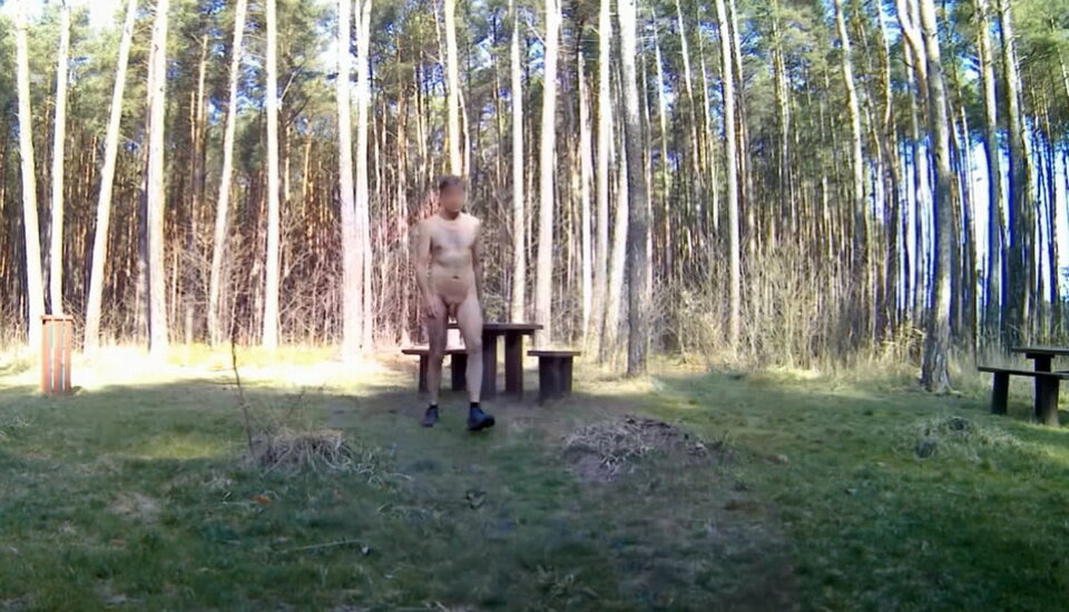 SIEWIERZ - parking leśny 20260322_0851.mp4_snapshot_00.45_[2026 - Krzysztof_cfnm