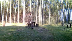 SIEWIERZ - parking leśny 20260322_0851.mp4_snapshot_00.45_[2026