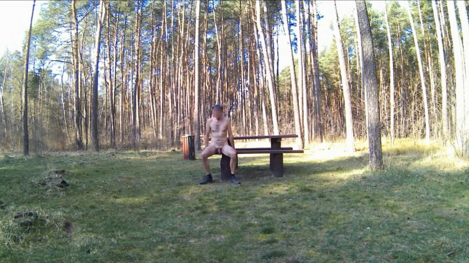 SIEWIERZ - parking leśny 20260322_0851.mp4_snapshot_00.11_[2026 - Krzysztof_cfnm